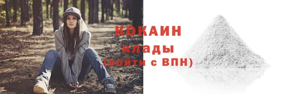 мет Карпинск