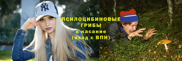 мет Карпинск