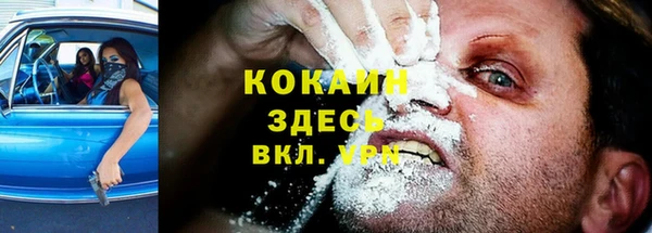 мет Карпинск
