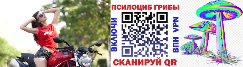Псилоцибиновые грибы Psilocybe  KRAKEN зеркало  Элиста 