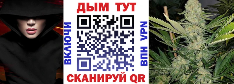 Конопля индика  Элиста 